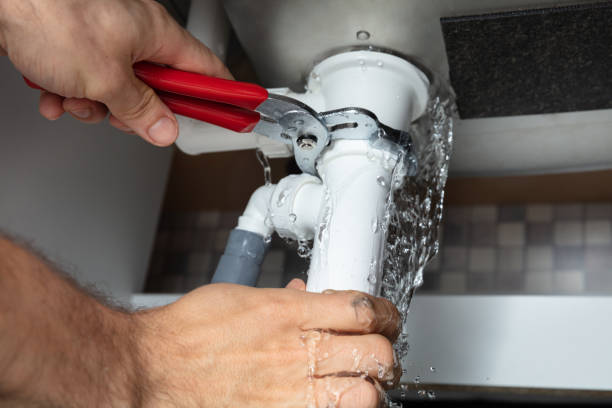 Best Local water damage restoration  in Apalachicola, FL