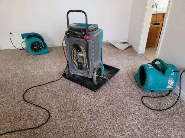 Best 24/7 water damage repair  in Apalachicola, FL