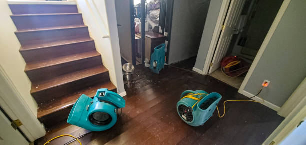 Best Professional water damage repair  in Apalachicola, FL