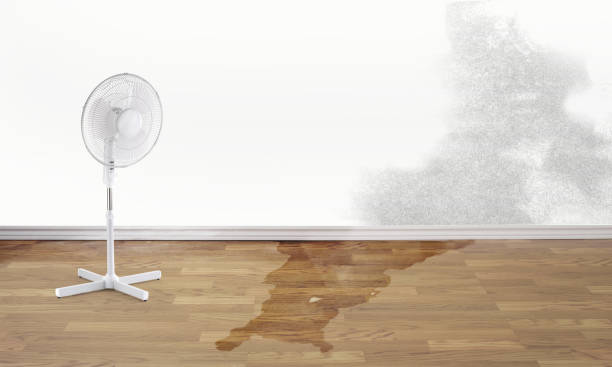 Best 24/7 water damage repair  in Apalachicola, FL