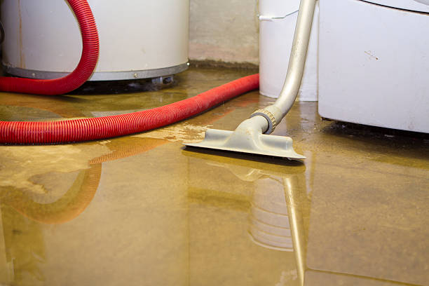 Best Commercial water damage restoration  in Apalachicola, FL
