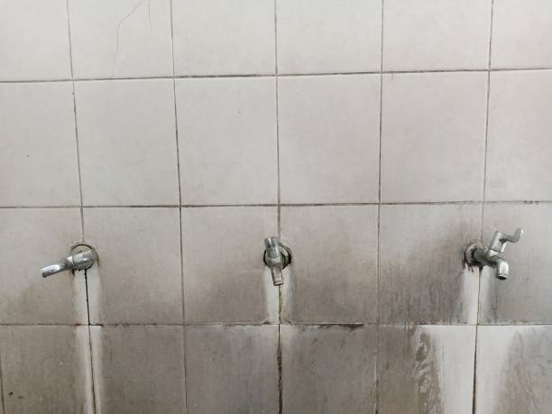 Best Professional water damage repair  in Apalachicola, FL