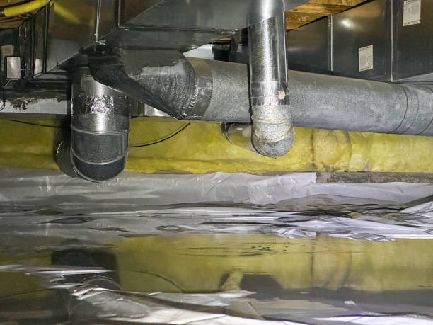 Best Sewage cleanup and water damage restoration  in Apalachicola, FL