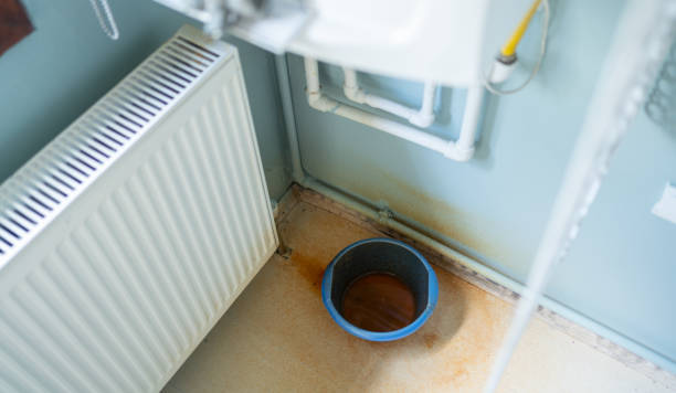 Best Water damage restoration near me  in Apalachicola, FL
