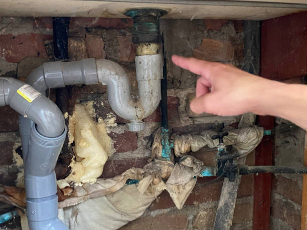 Best Fire Damage Restoration  in Apalachicola, FL
