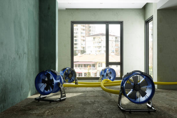 Best Emergency water damage restoration  in Apalachicola, FL